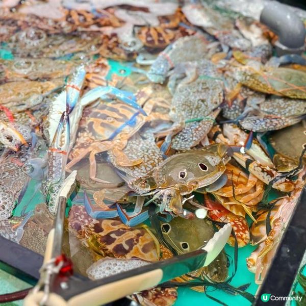 龍蝦控必收!香港8間高CP值龍蝦自助餐+放題全攻略🦞 - Image 4