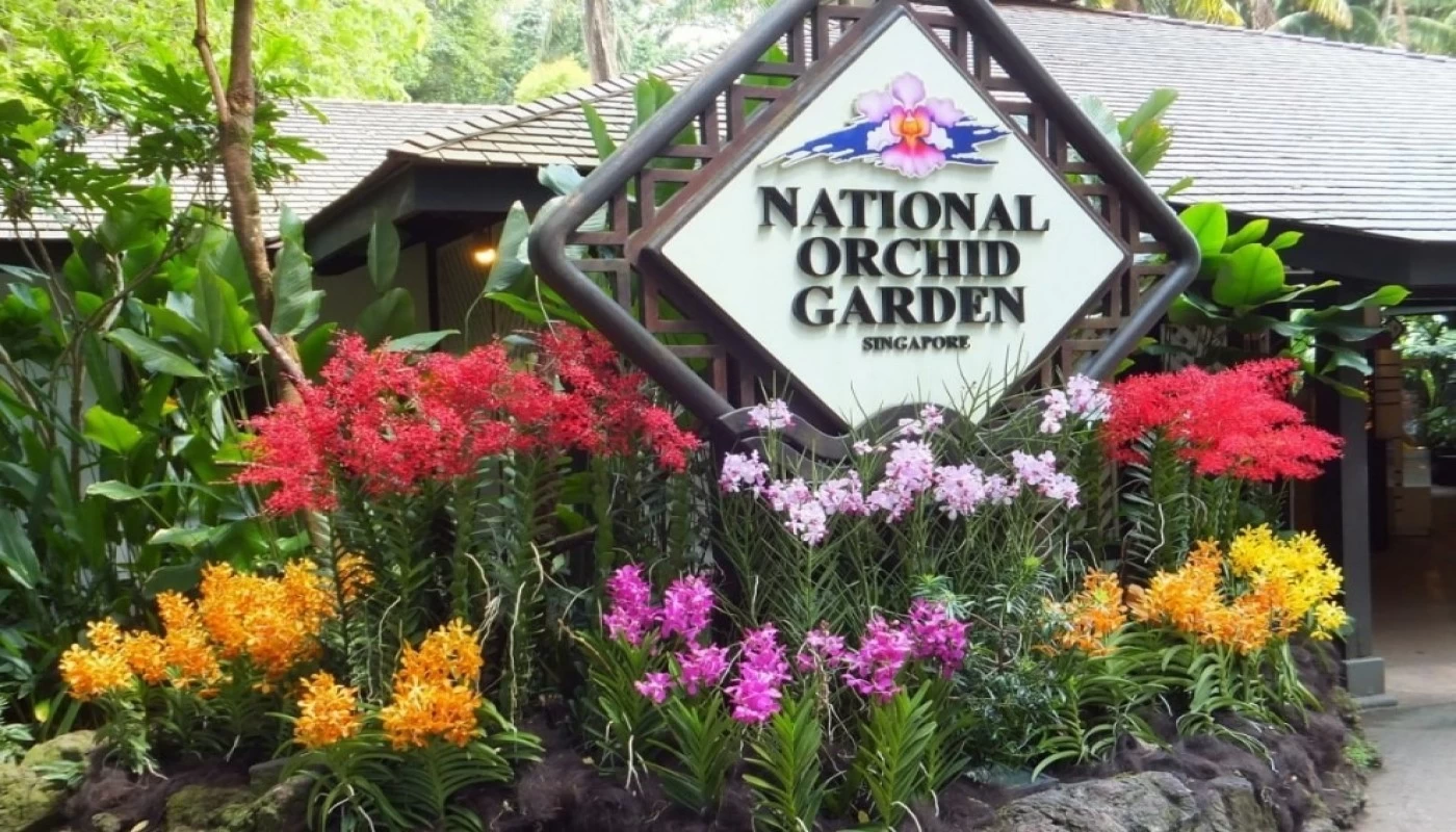 National Orchid Garden - Standard Adult Ticket