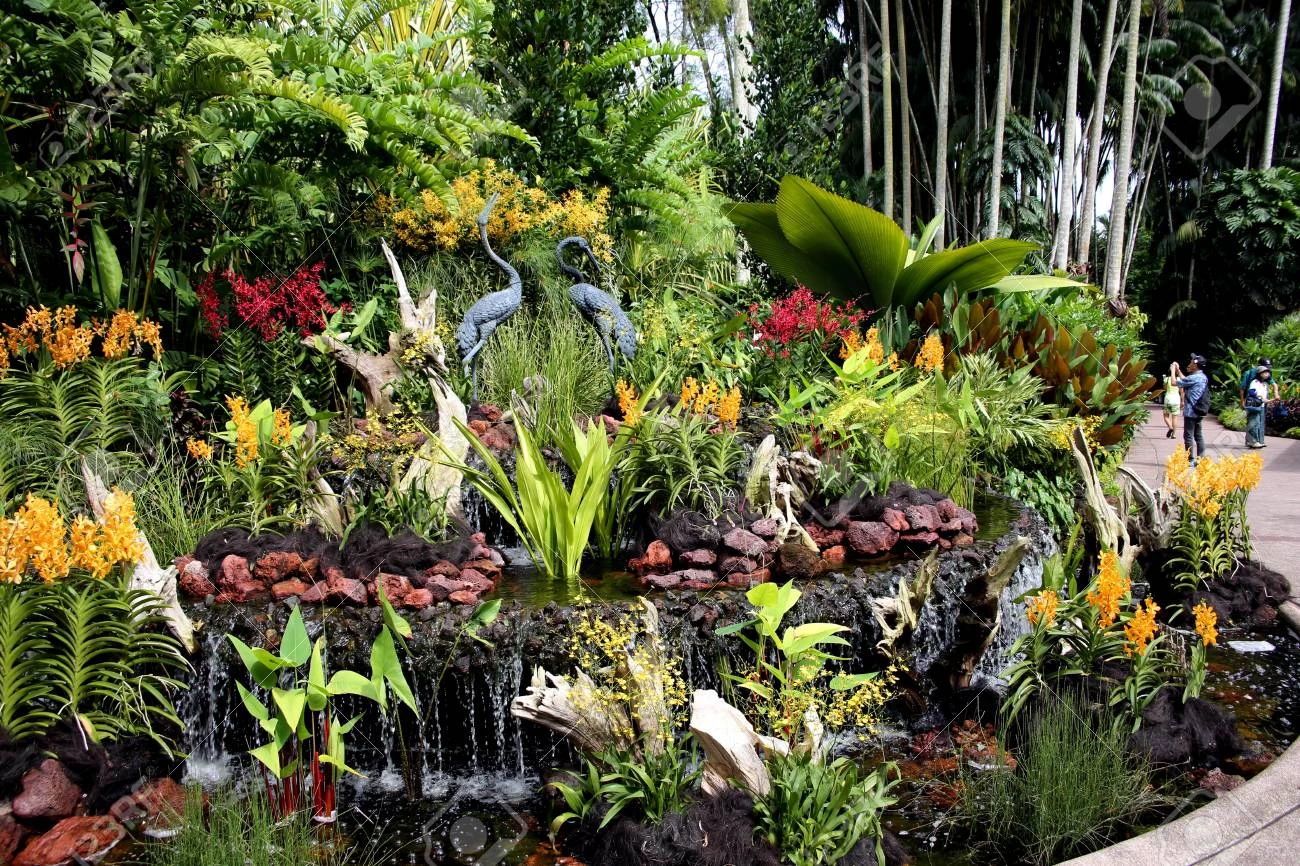 National Orchid Garden - Standard Adult Ticket