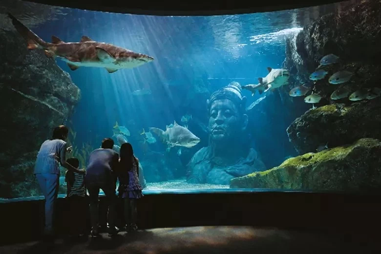 [Special Promotion] Sea Life Bangkok Ticket - Foreigner