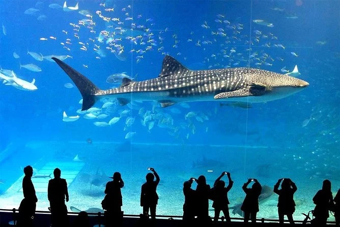 [Special Promotion] Sea Life Bangkok Ticket - Foreigner