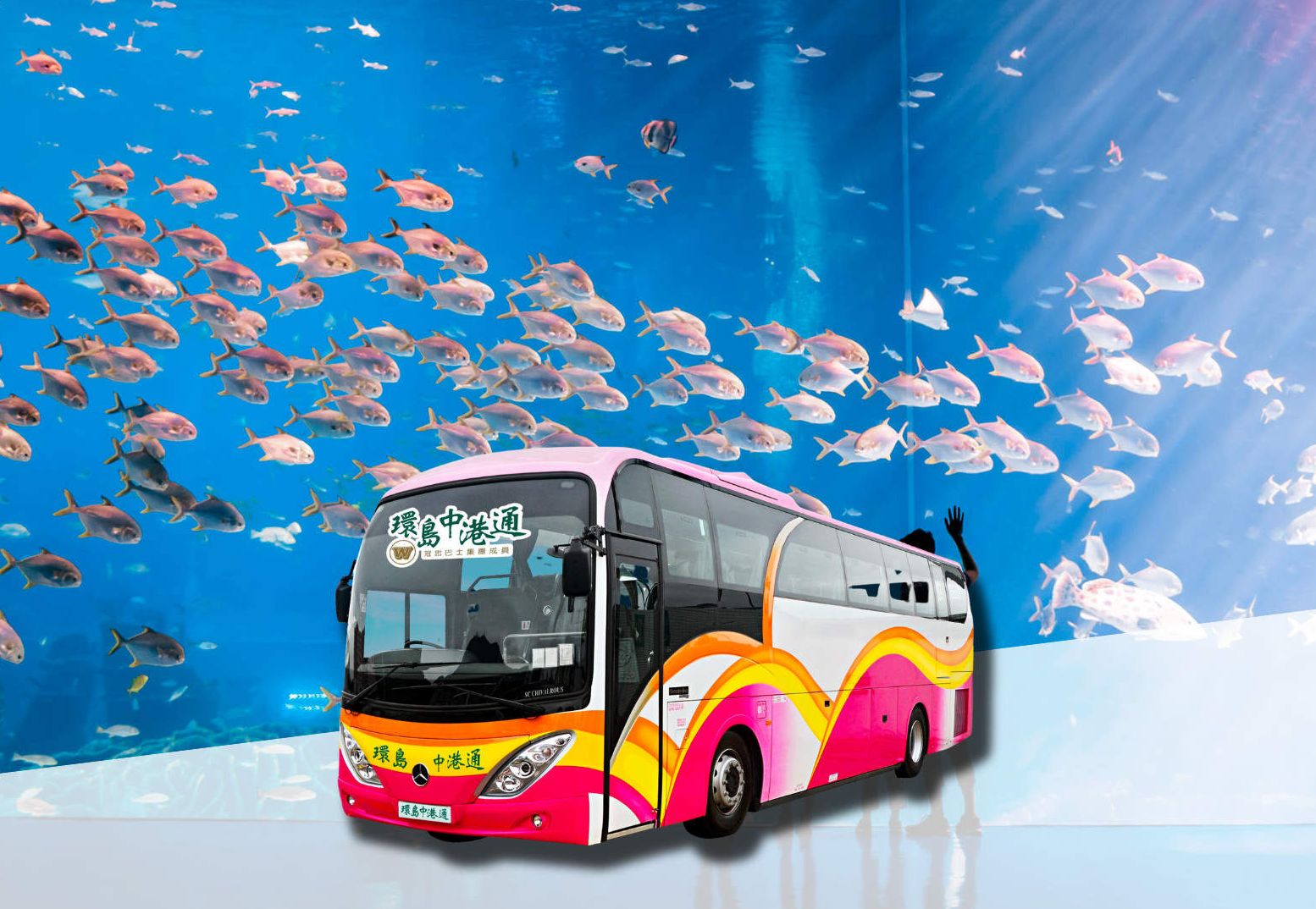 【環島中港通】香港→珠海長隆企鵝酒店 跨境直通巴士Open票