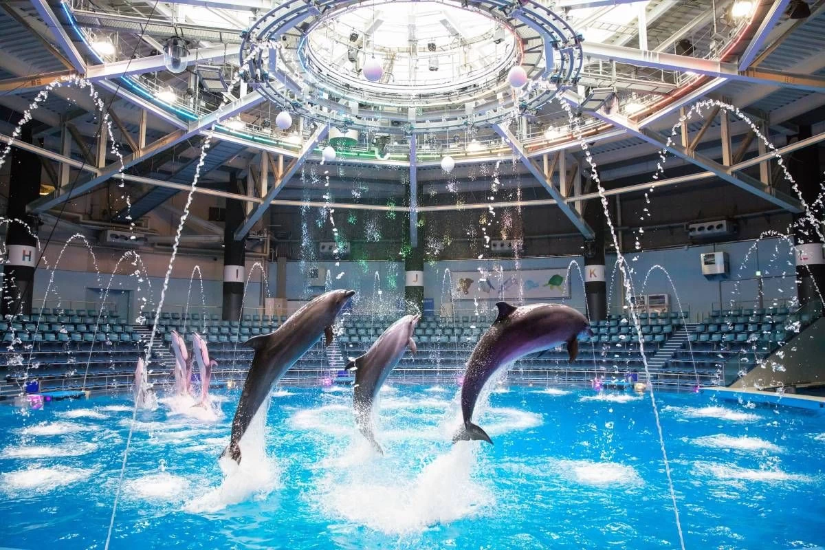 Maxell 品川水族樂園成人票（7月22-25日，8月25-31日可訂）