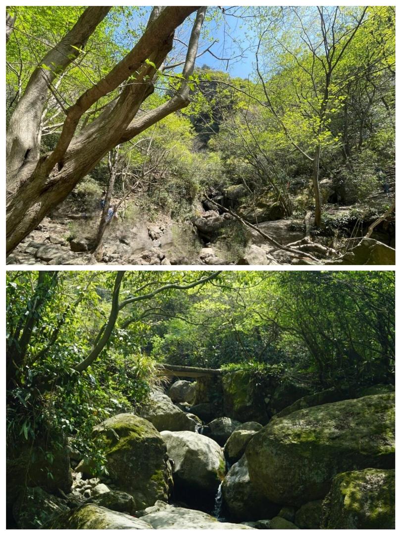 杭州杏梅尖遠足攻略🌄 瀑布、水庫、山景一次滿足! - Image 3
