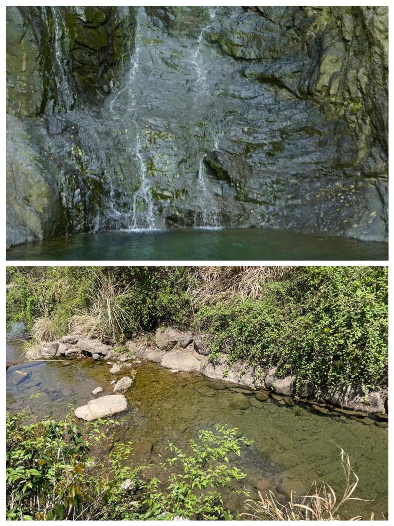 杭州杏梅尖遠足攻略🌄 瀑布、水庫、山景一次滿足! - Image 6