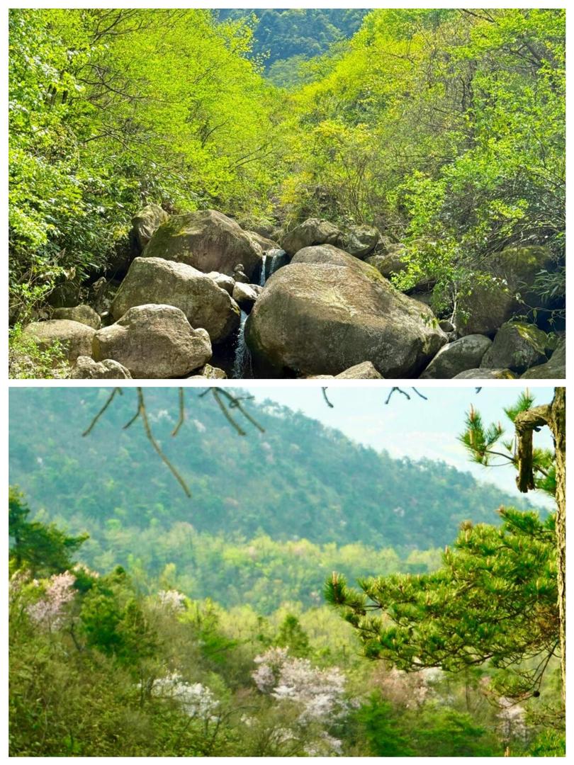 杭州杏梅尖遠足攻略🌄 瀑布、水庫、山景一次滿足! - Image 2