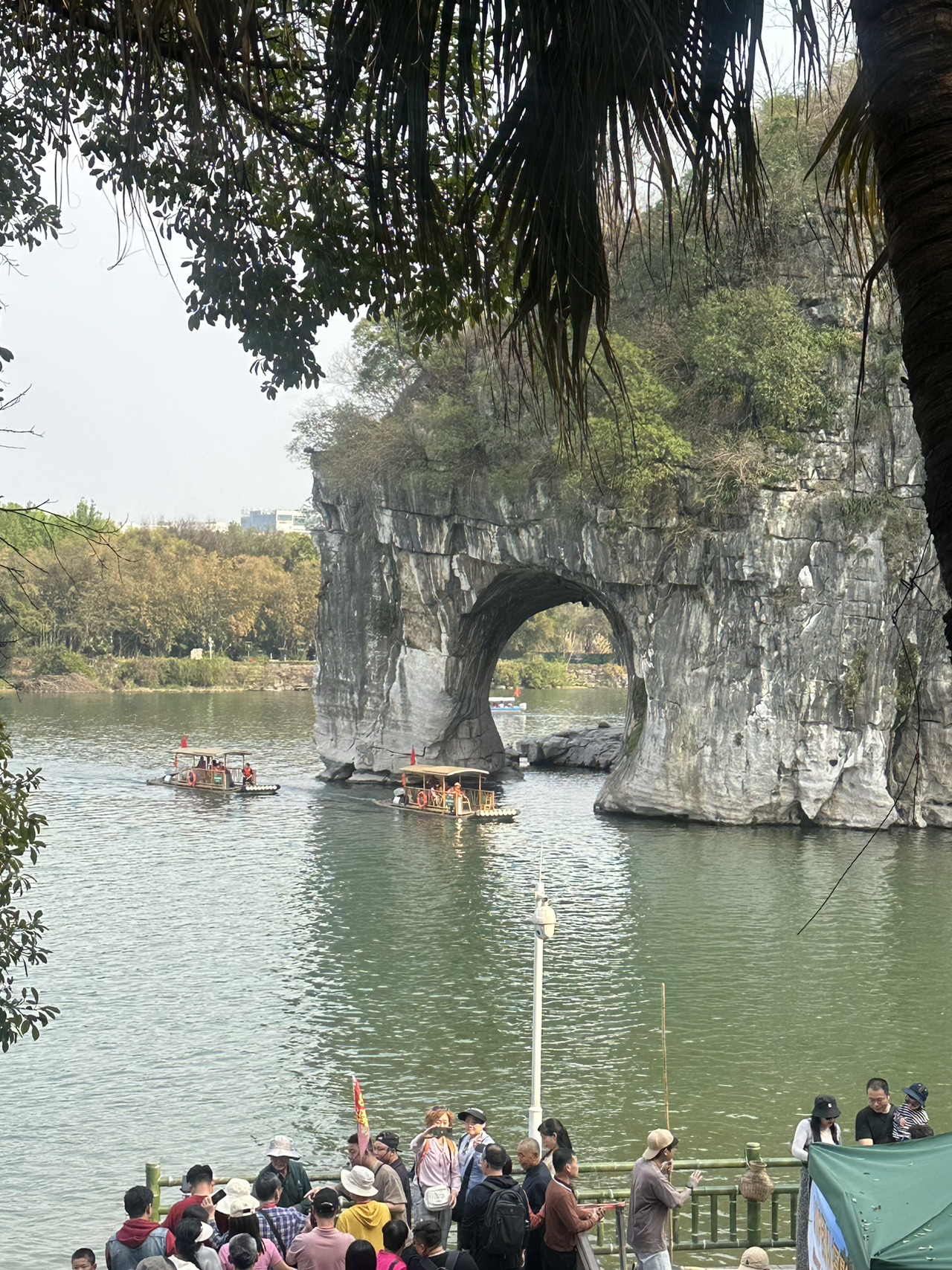 桂林2日遊攻略🌿 打卡喀斯特秘境+必食啤酒魚 - Image 5