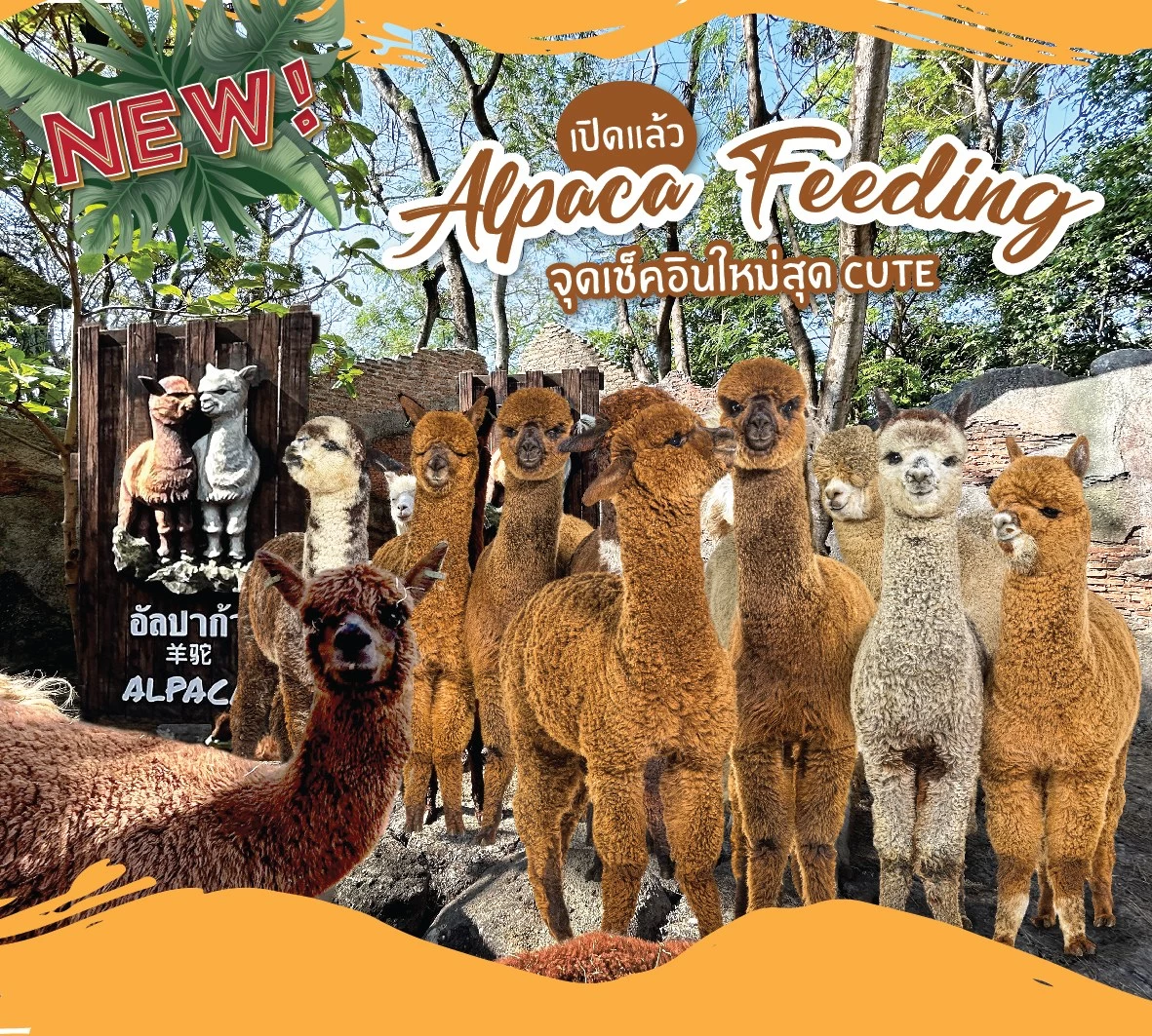 Safari World BangkokPackage : Safari Park + Marine Park (Non Thai resident)_ADULT