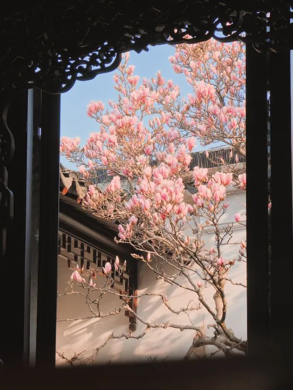 蘇州春日賞花攻略🌸 一文睇盡8大園林花期+打卡位