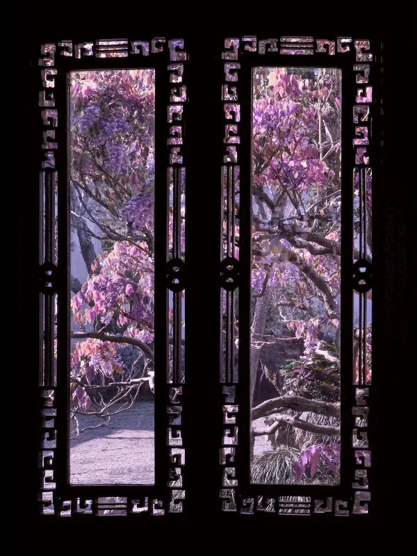 蘇州春日賞花攻略🌸 一文睇盡8大園林花期+打卡位 - Image 9