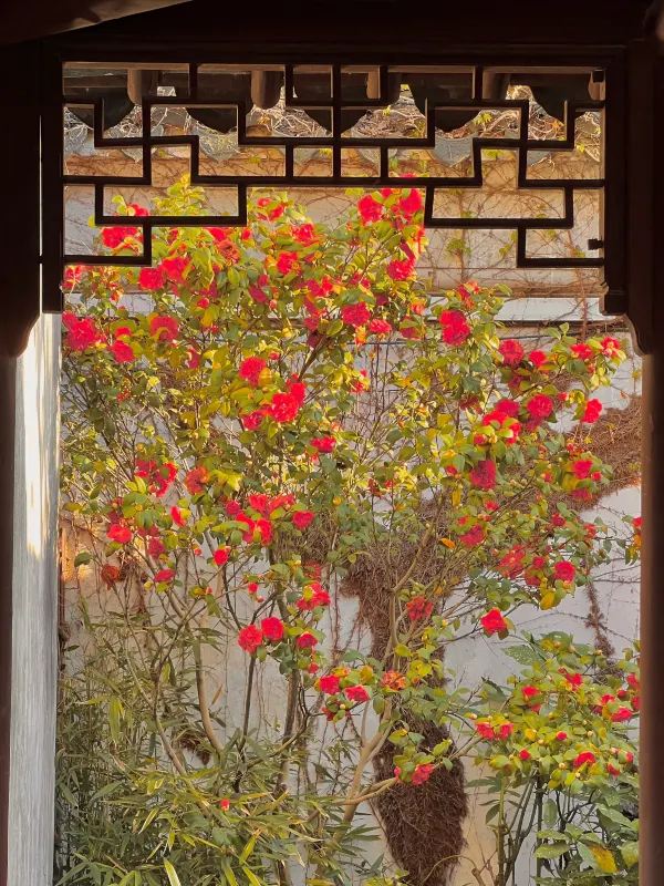 蘇州春日賞花攻略🌸 一文睇盡8大園林花期+打卡位 - Image 2