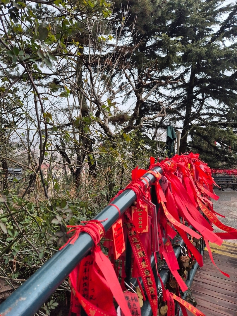 霧鎖小魚山🌫️青島最魔幻嘅晨光打卡位 - Image 3