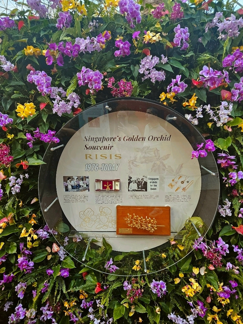 🔥跟風去花穹,居然拍到絕世美照! - Image 3