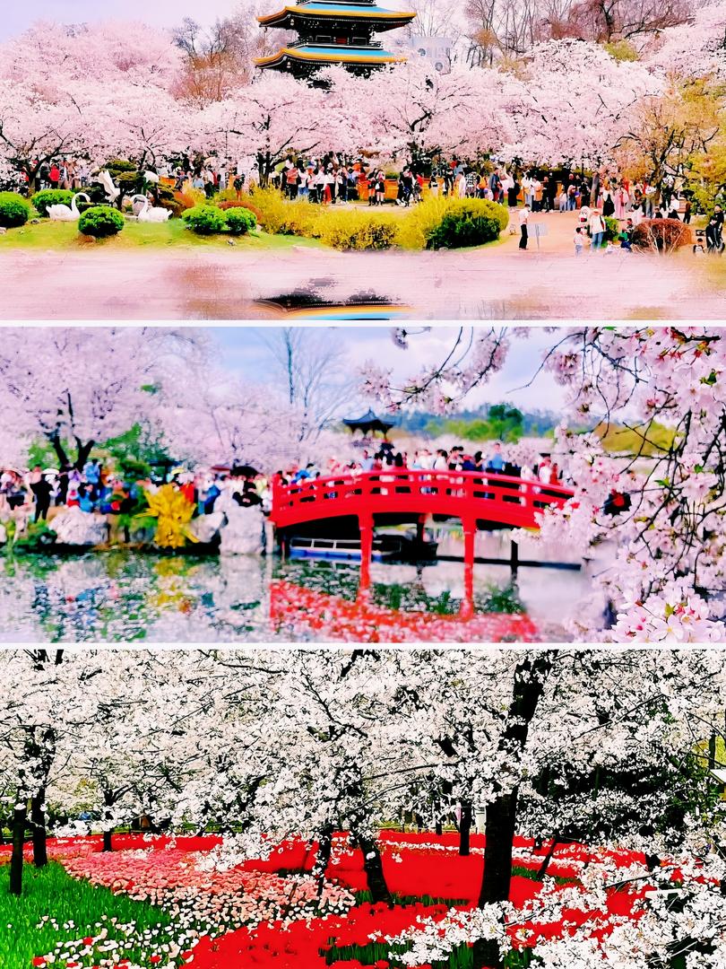 🔥武漢2日遊,景點推薦全攻略! - Image 6