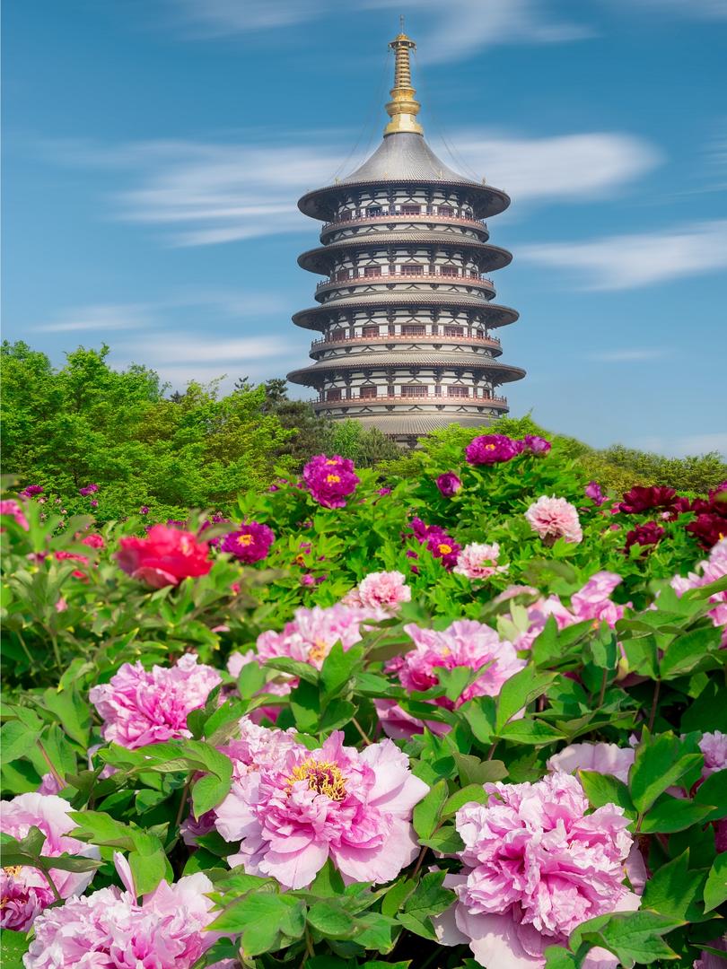 8大城市市花大揭秘!你嘅城市上榜未?🌸