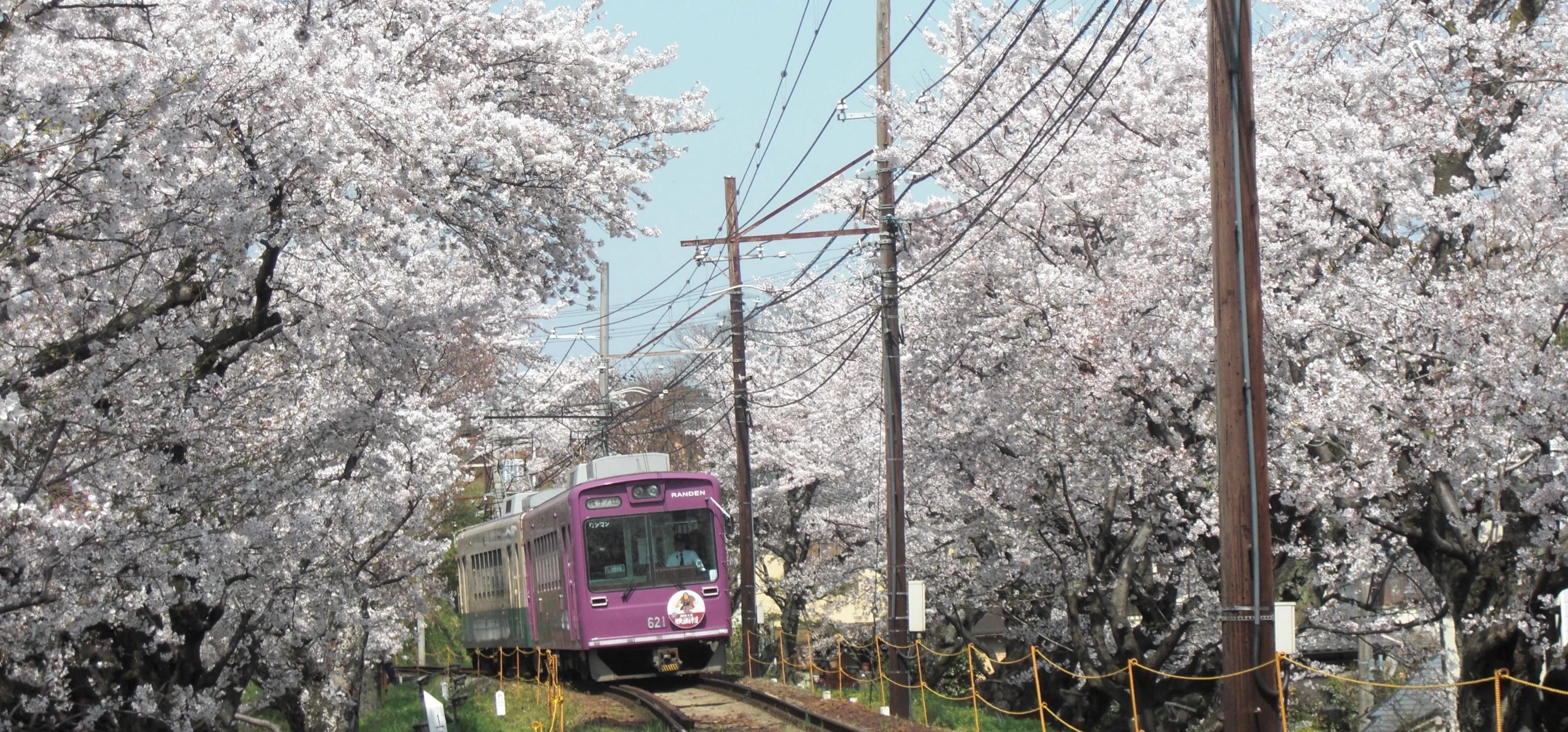 Randen Tram 1-Day Pass · Kyoto Subway 1-Day Pass