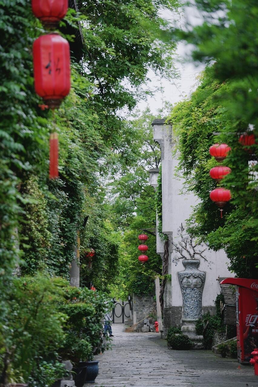 南京老門東|清晨6點嘅雨巷,凌霄花開到震撼! - Image 5