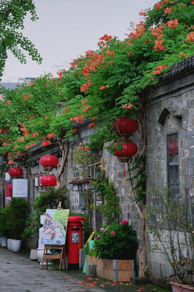 南京老門東|清晨6點嘅雨巷,凌霄花開到震撼! - Image 4