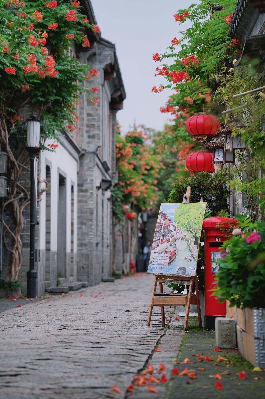 南京老門東|清晨6點嘅雨巷,凌霄花開到震撼! - Image 9