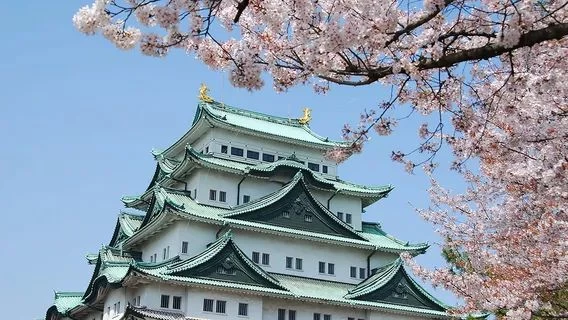 Between Chubu Centrair International Airport and Meitetsu Nagoya Station[One-way]