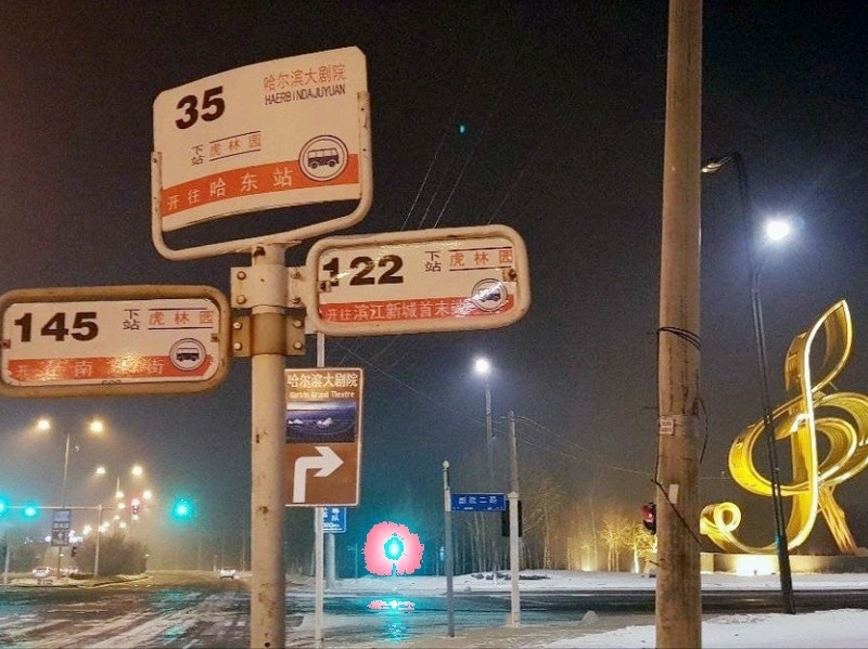 去過哈爾濱大劇院8次,我的打卡攻略分享! - Image 8