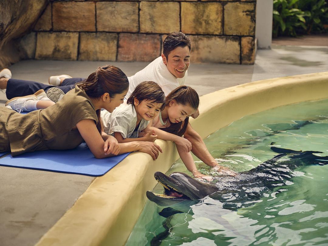 Singapore Oceanarium Admission Ticket-Peak Season