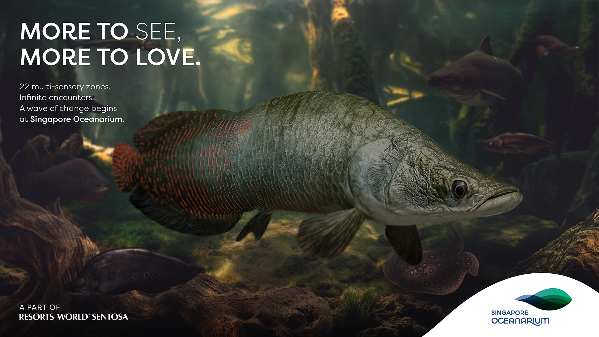 Singapore Oceanarium Admission Ticket-Peak Season