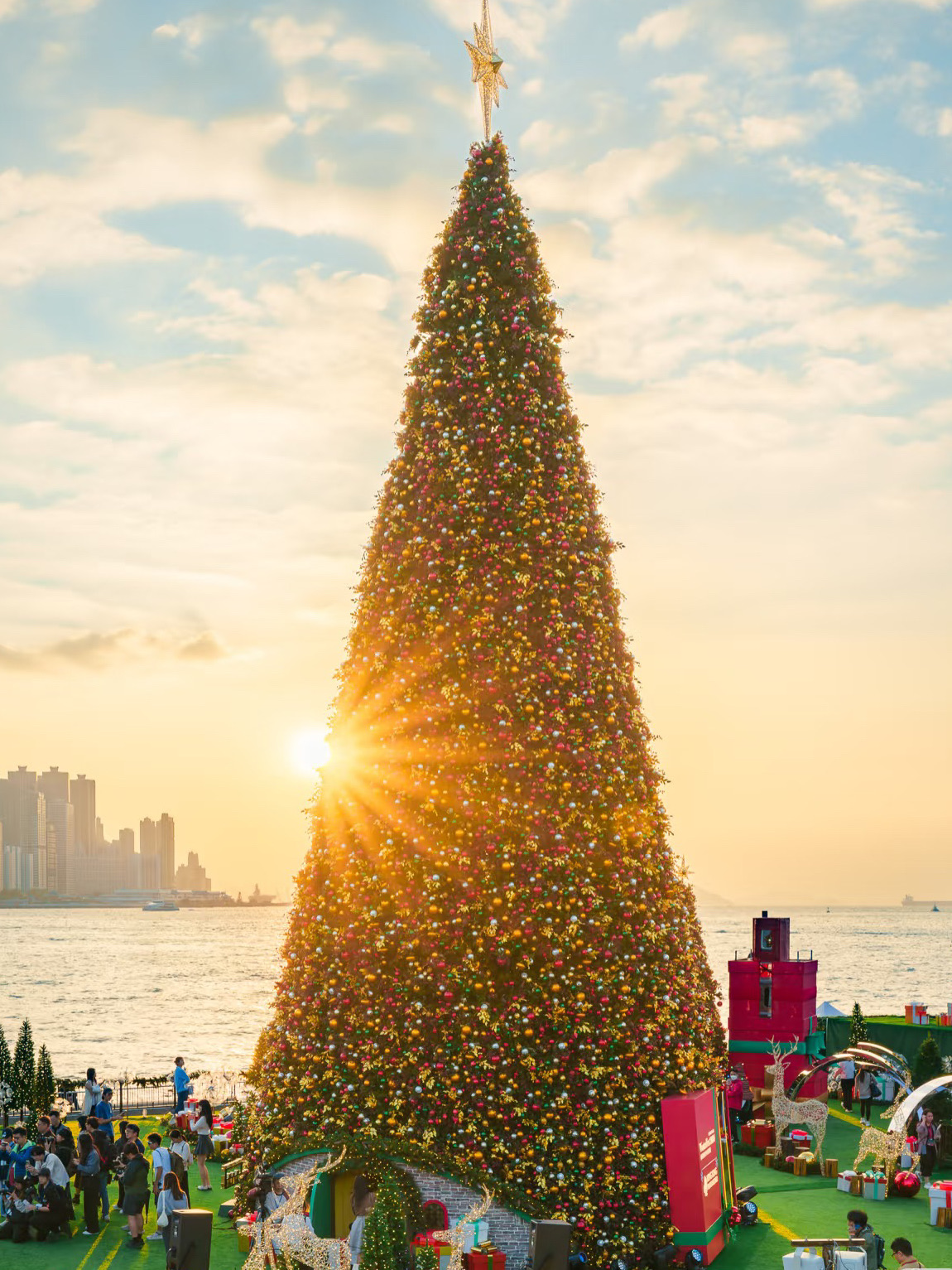香港聖誕必去打卡熱點!3日攻略帶你玩轉節日魔法🎄✨ - Image 4