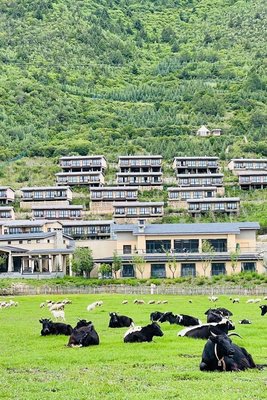 高山別莊·香格里拉酒店