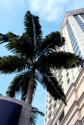 吉隆坡麗思卡爾頓酒店