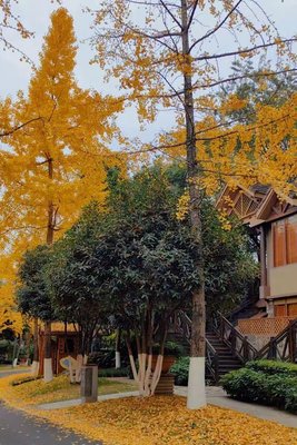 峨眉山烏蘭度假酒店