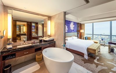 成都東大明宇豪雅飯店(春熙路太古裏店)