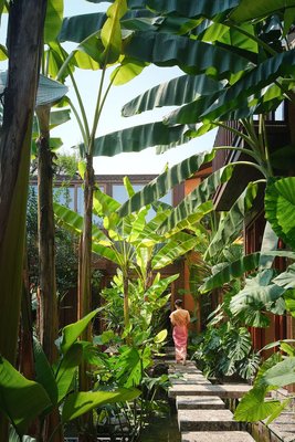 泰妙·雨林spa療愈民宿