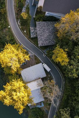 大樂之野·銀杏谷(隨州店)