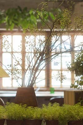 同興裏16號·木子公館·洋房民宿(武漢江漢路步行街店)