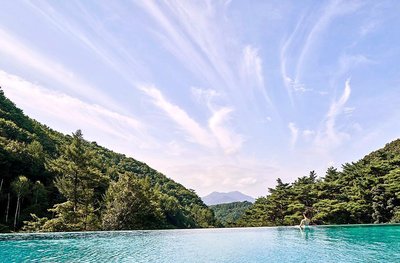 瑞斯特里森林度假村