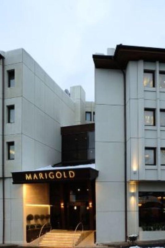 金盞花温泉Spa酒店