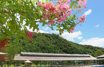 尾道貝拉維斯塔温泉碼頭酒店