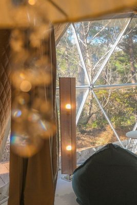 glampark 長野月下美人