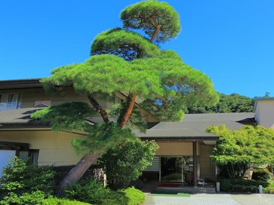 Nagatoro Choseikan Ryokan