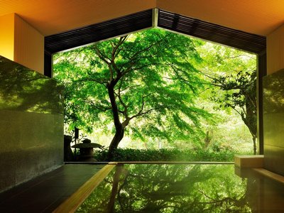 星野集團 界 箱根