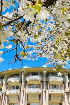 箱根蘆之湖皇家王子大飯店