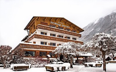 隱士廬木屋-原創之家酒店