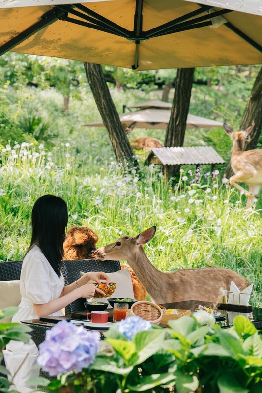 北京在之禾酒店