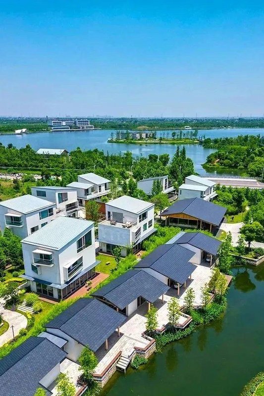 嘉興飛鳥集丨萬棵銀杏·千畝湖域·寵物友好·音樂現場·度假民宿