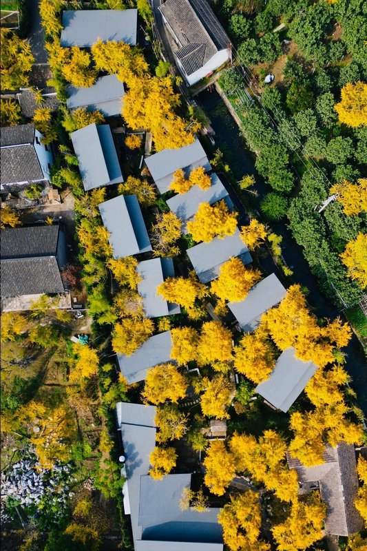 蘇州瑞相院·銀杏園林美墅(太湖東山店)