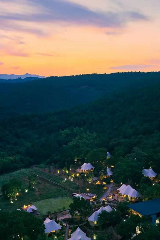 長興阿那度(Anadu)橄欖莊園