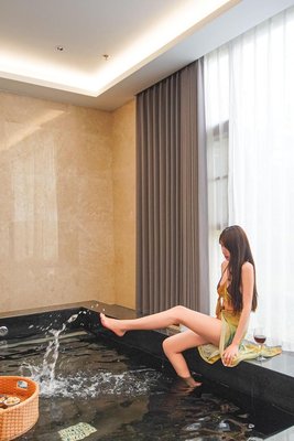 揚州鳳隱梧桐温泉度假酒店(鳳凰島生態旅遊區店)