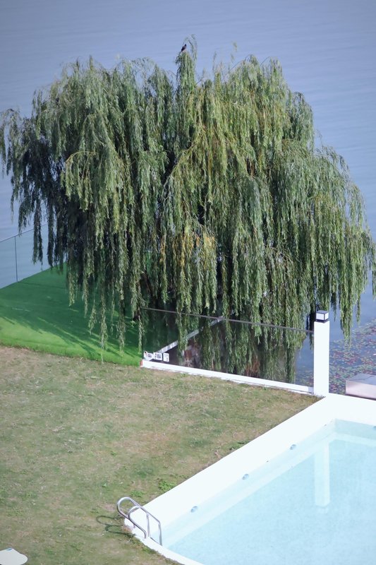 蘇州敍姑蘇憶江南民宿(西山二店)