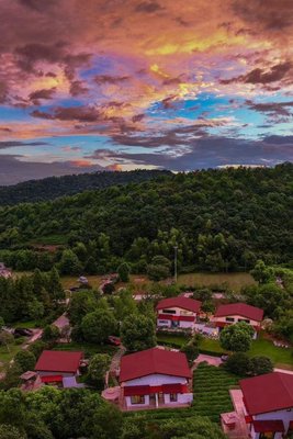 長興林音茶語民宿